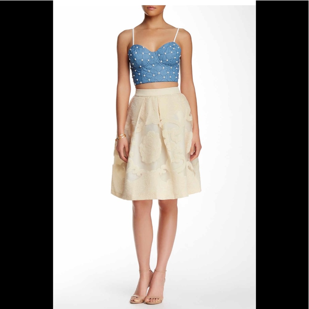 Embroidered skirt